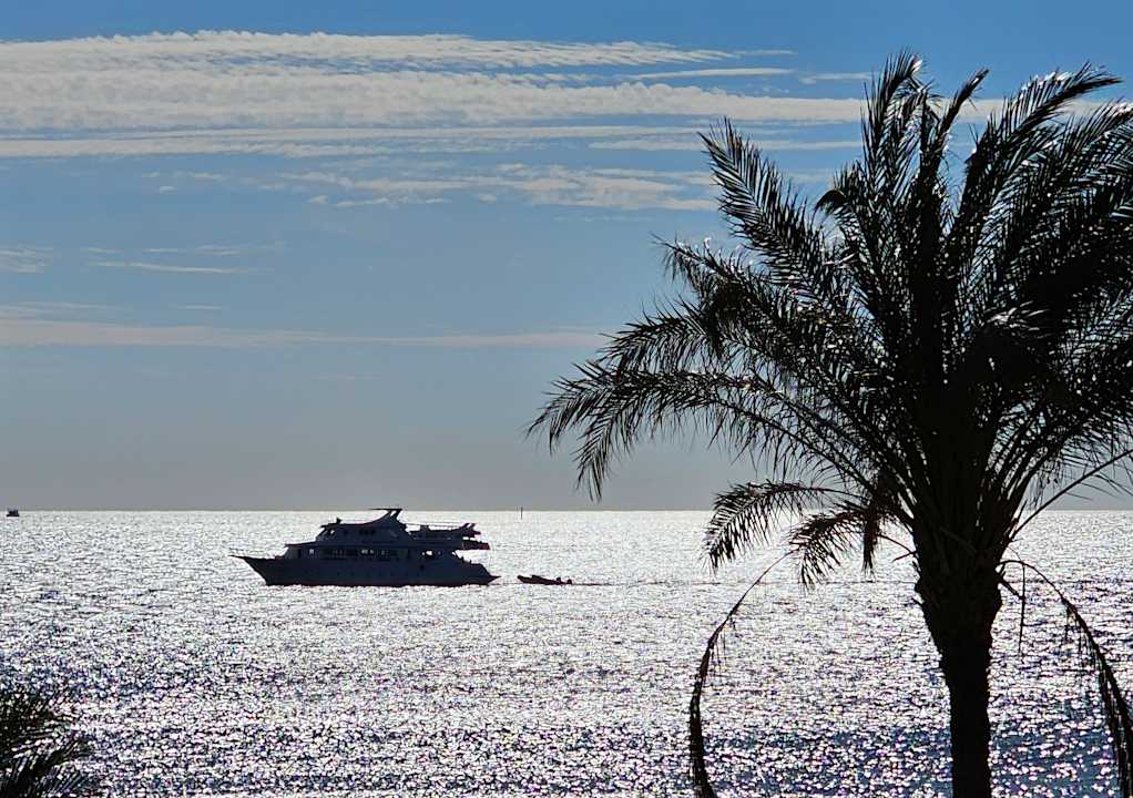 Strand Shams Prestige Abu Soma-Adults Only