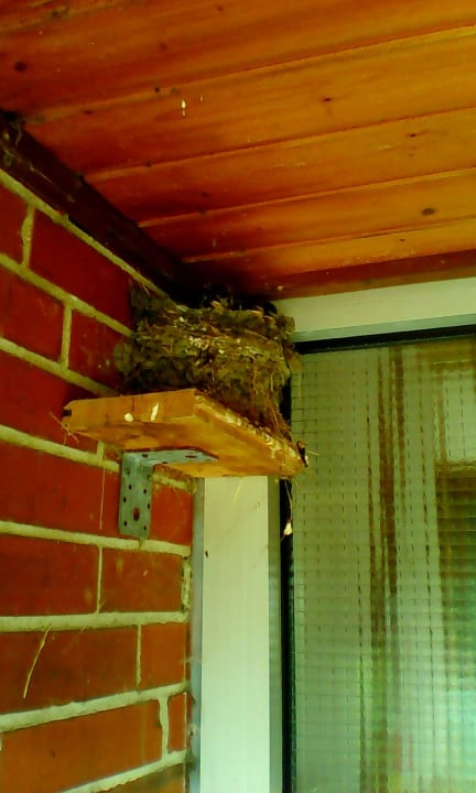 Sonstiges Ferienwohnungen Us Langeoog