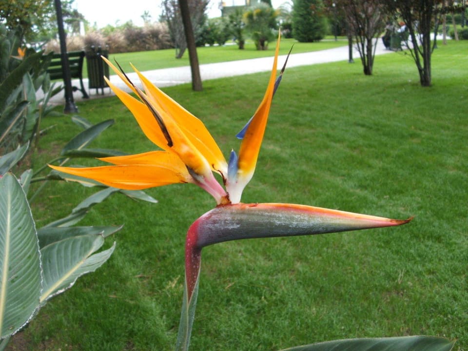 Einfach herrlich! Welch Augenweide! Voyage Belek Golf & Spa