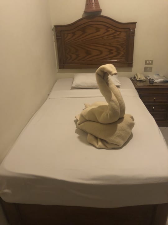 Zimmer Shams Safaga Resort