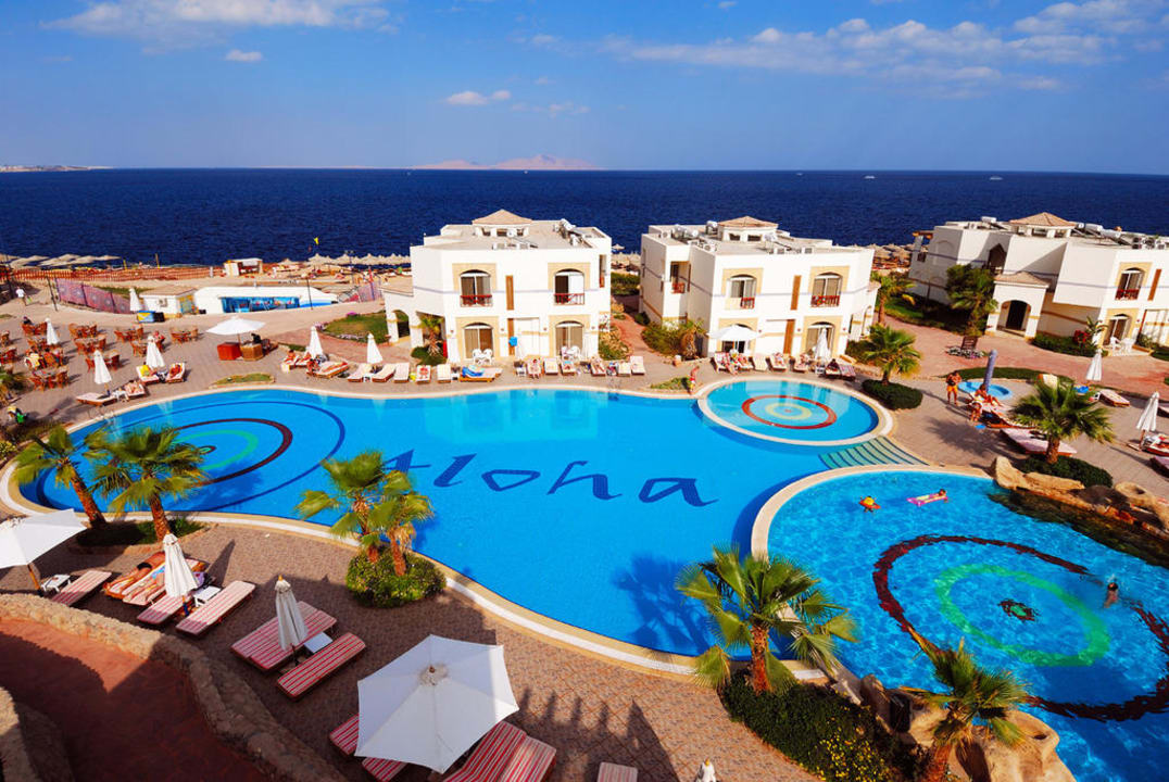 Shores Aloha View Amphoras Blu