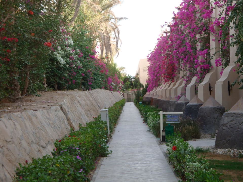 Gartenbereich hinter dem Hotelzimmer Prima Life Makadi Resort