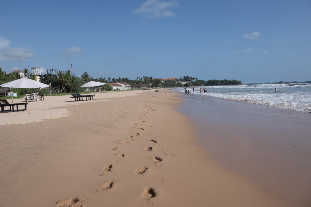 Strand Thaala Bentota