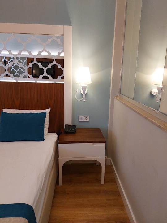 Zimmer Seashell Vega