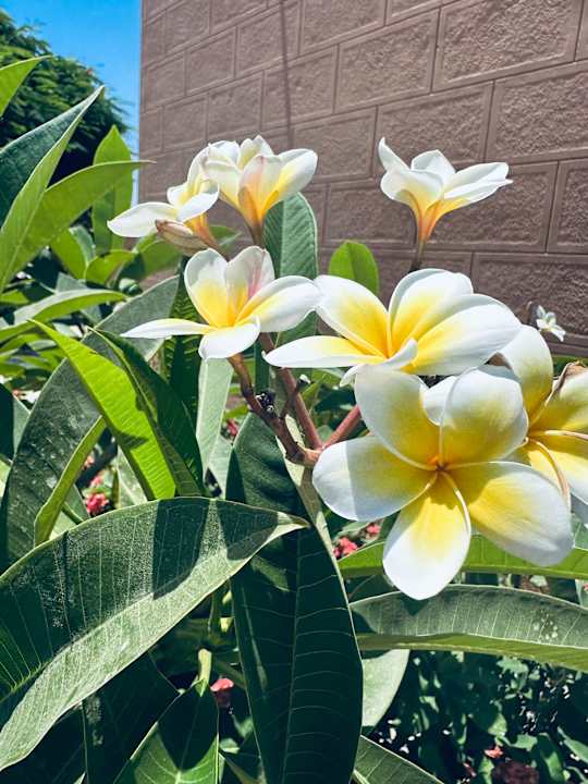 Sonstiges Akassia Swiss Resort