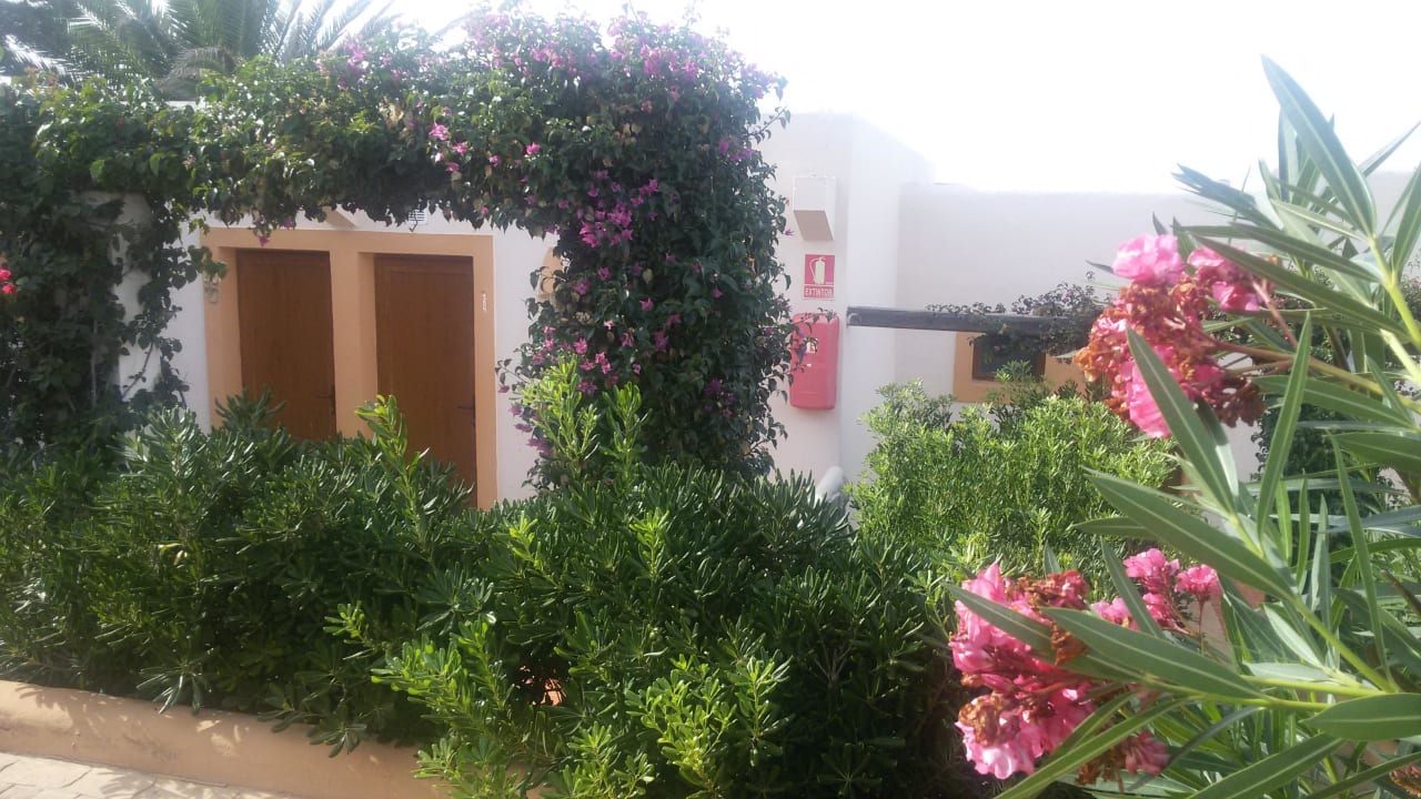 Bungalows  Hotel Club Sunway Punta Prima