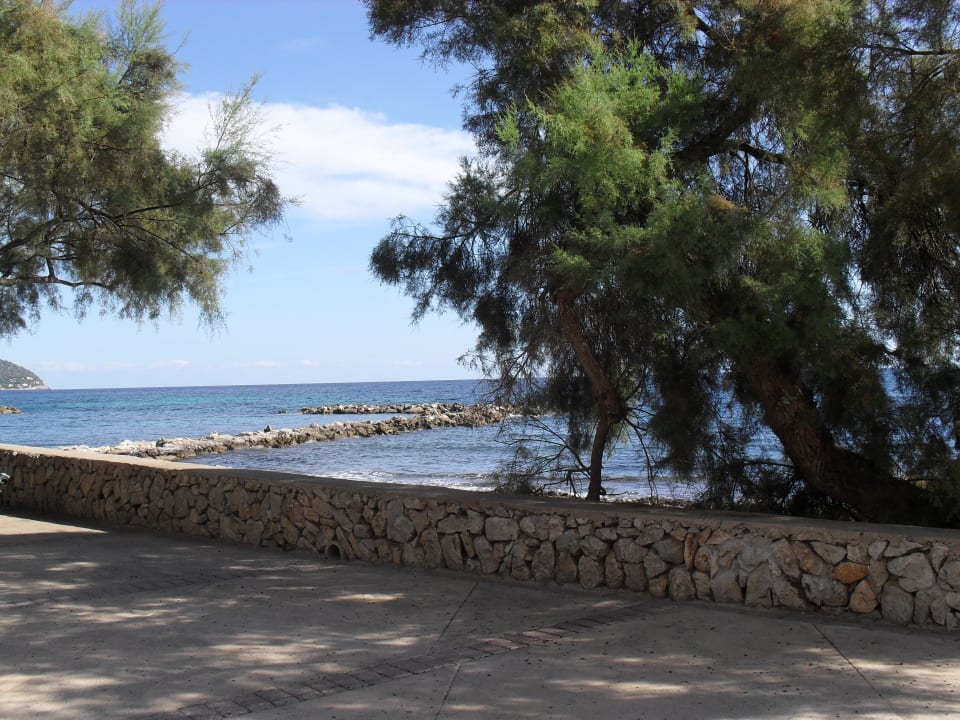 Einfach nur geniessen Hipotels Hipocampo Playa