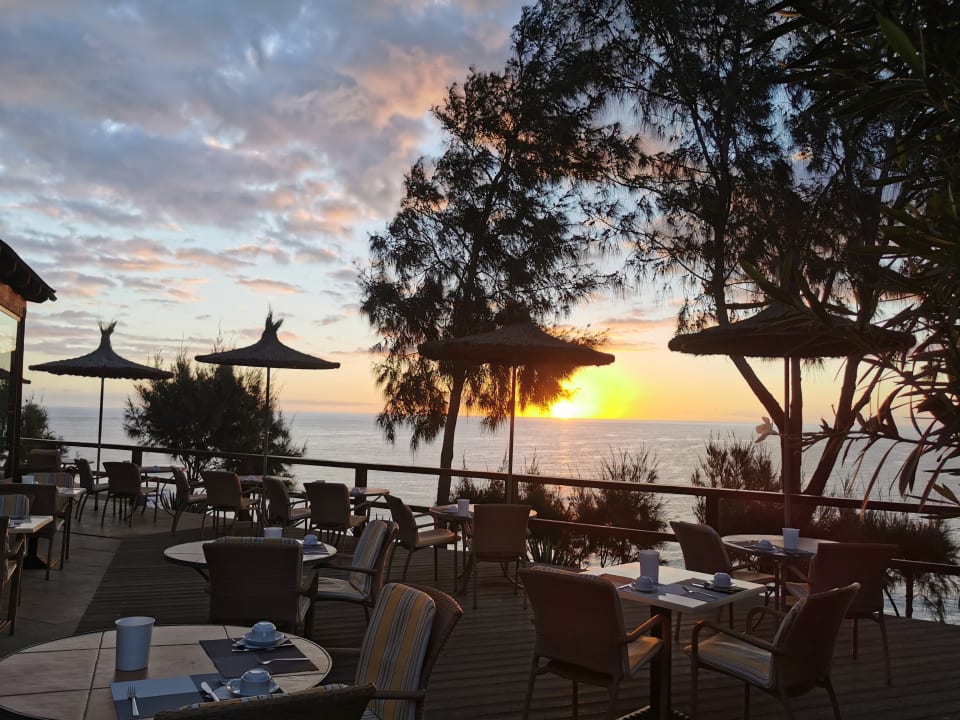 Gastro Marina Playa Suite Hotel