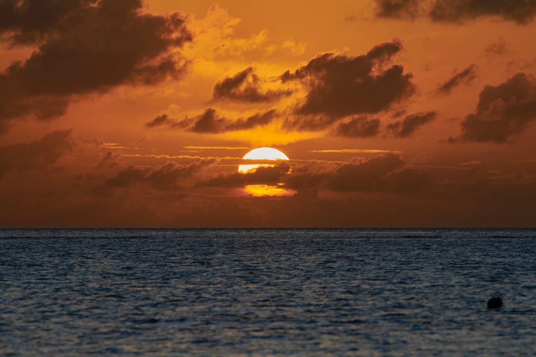 Ausblick Cinnamon Velifushi Maldives - Free One-Way Speedboat and 02 Kids Under 12 Stay & Dine Free