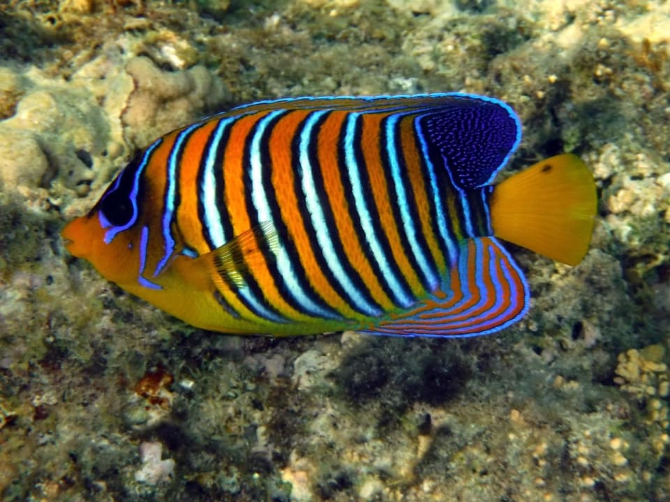 Sport & Freizeit Rohanou Beach Resort