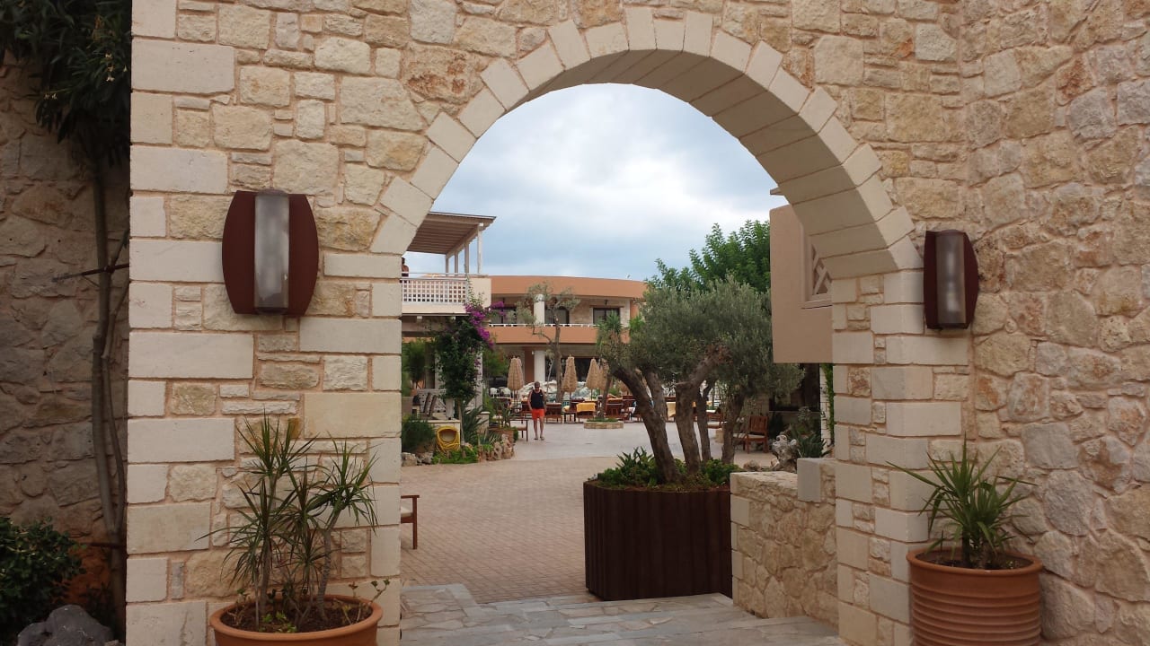 Innenhof Cactus Royal