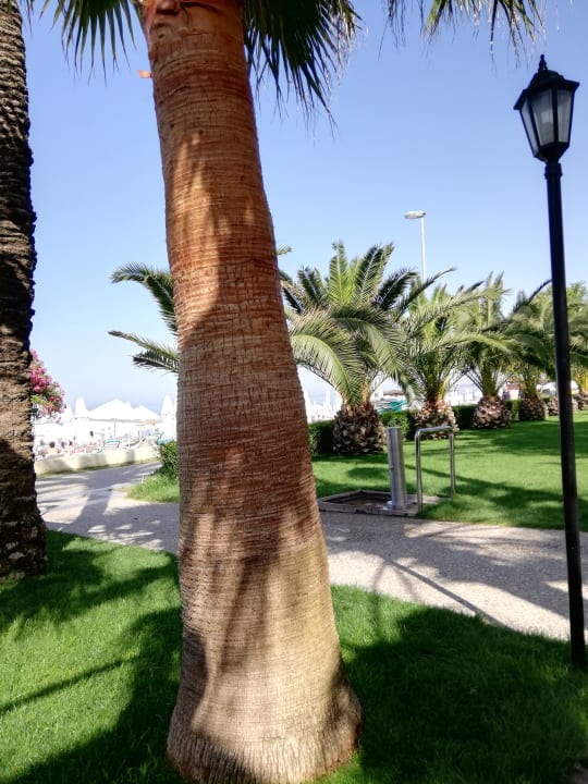 Gartenanlage Nerton Hotel - Erwachsenenhotel ab 16 Jahren