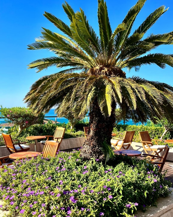 Gartenanlage Side Star Elegance