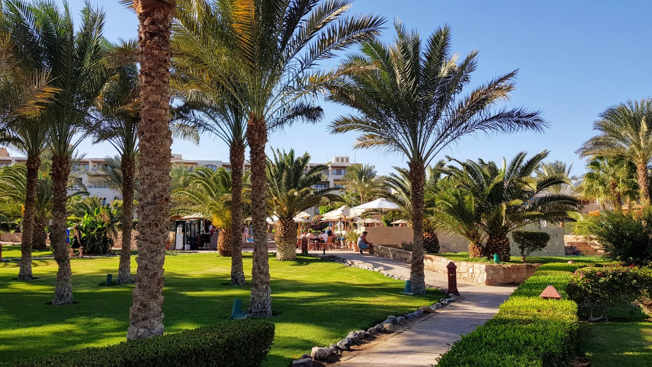 Gartenanlage Jaz Makadi Oasis Resort
