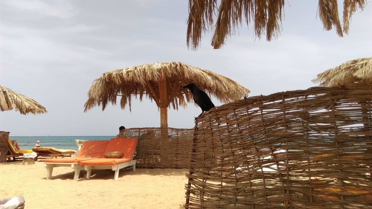 Plaża Sentido Caribbean World Soma Bay