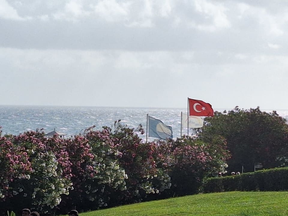 Gartenanlage Alba Queen Hotel