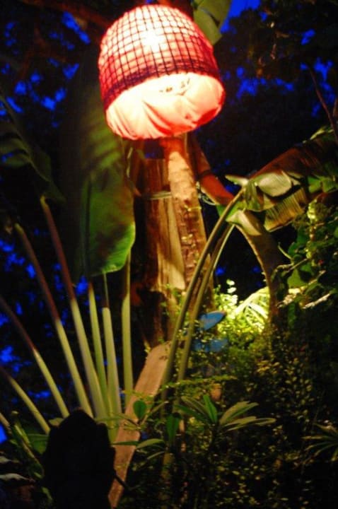 Garten bei Nacht Varinda Garden Resort
