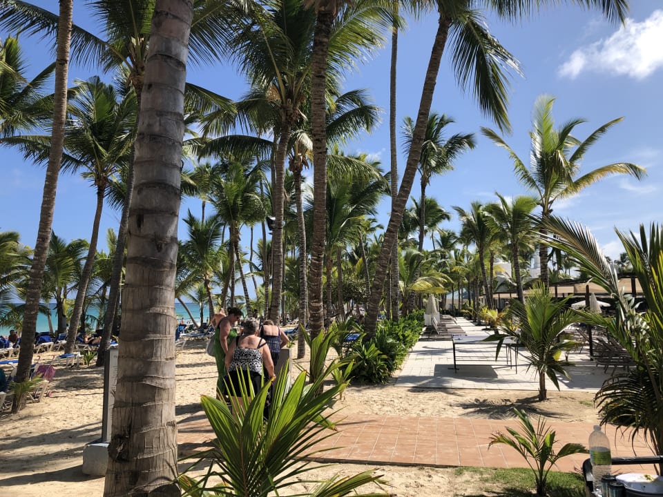 Strand Hotel Riu Palace Punta Cana