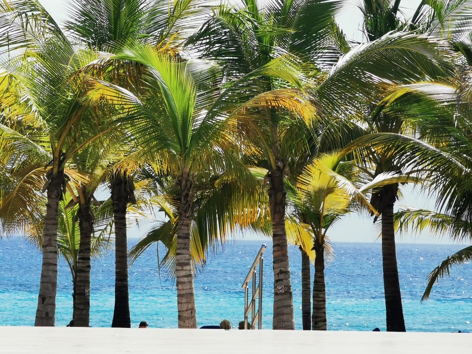 Ausblick Hotel Viva Dominicus Palace by Wyndham-All Inclusive Resort