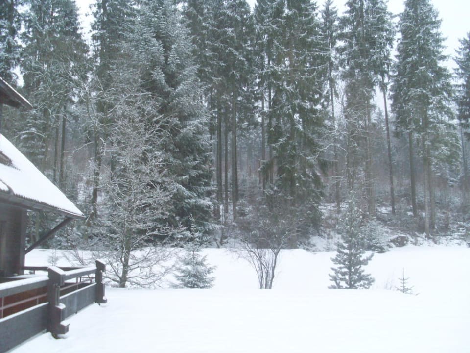 Ausblick vom Zimmer Nationalpark - Hotel Waldsägmühle