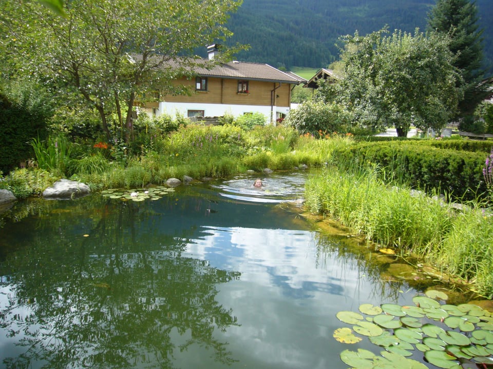Natuurlijk aangelegde vijver Ferienhaus Mandl Pool Sauna bei Zell am See