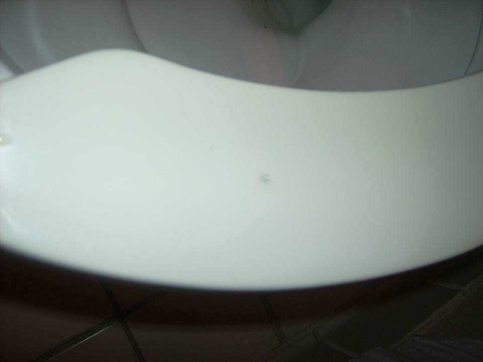 Fleckige Klobrille Hotel Rodeway Inn Maingate