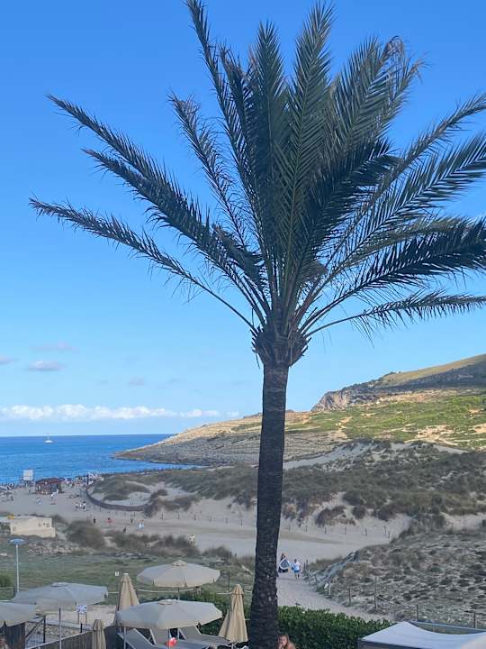 Ausblick Zafiro Cala Mesquida