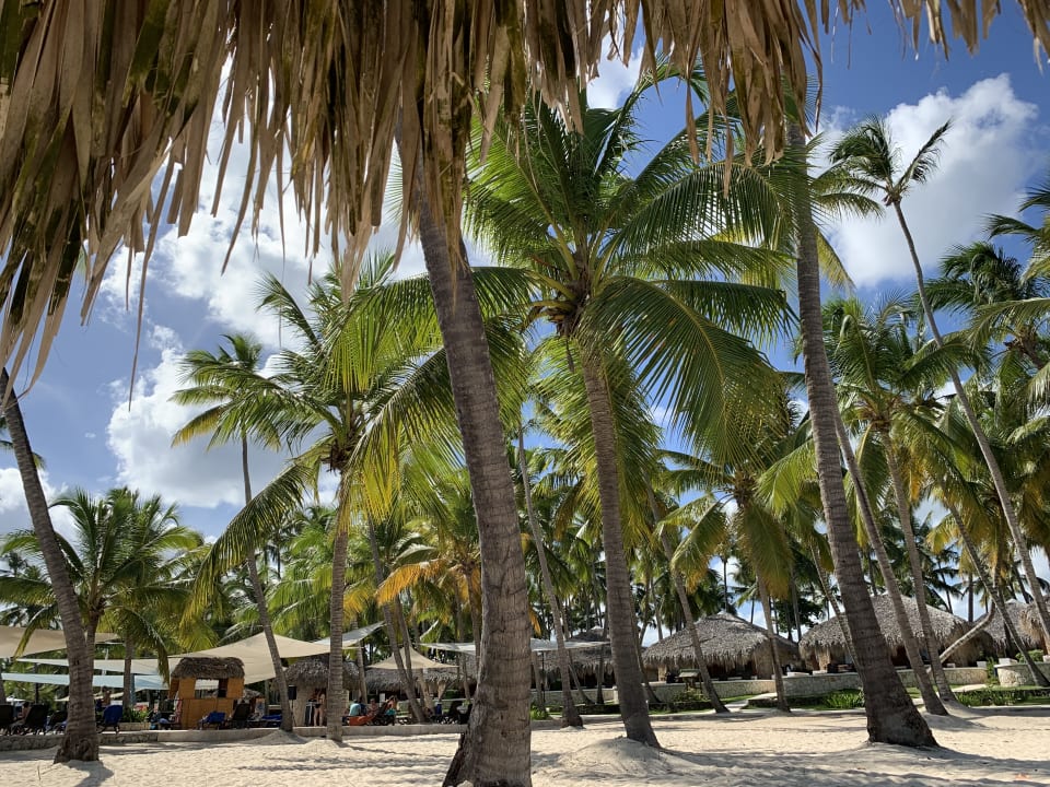 Strand Hotel Viva Dominicus Beach by Wyndham - All Inclusive Resort