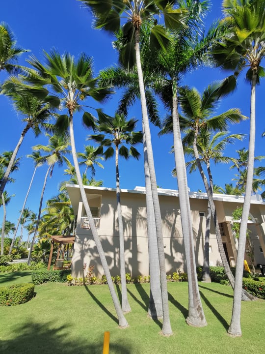 Gartenanlage Grand Palladium Punta Cana Resort & Spa