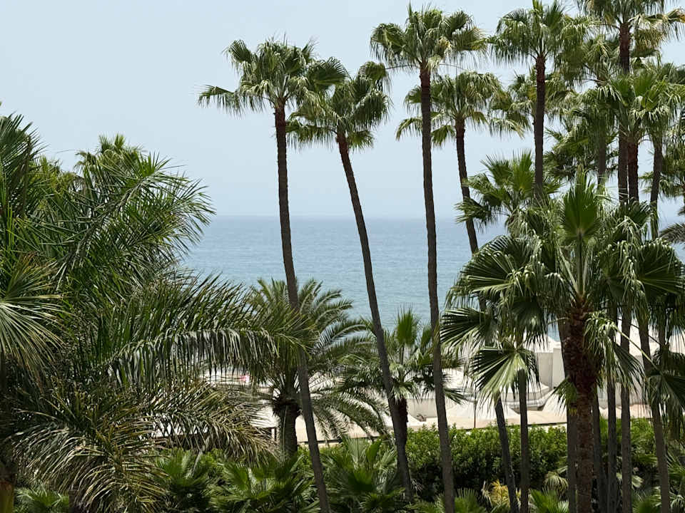 Ausblick Hotel Riu Palace Oasis