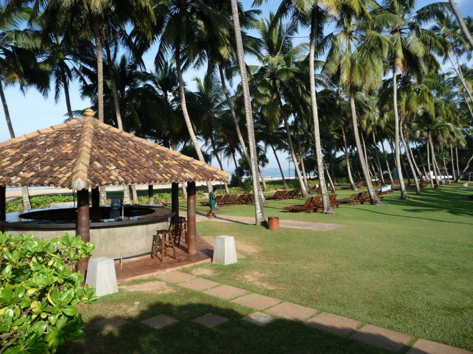 Garten Thaala Bentota