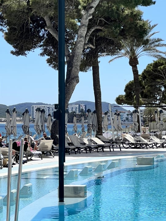 Pool The Ibiza Twiins