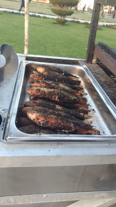 Restaurant Pickalbatros Dana Beach Resort - Hurghada