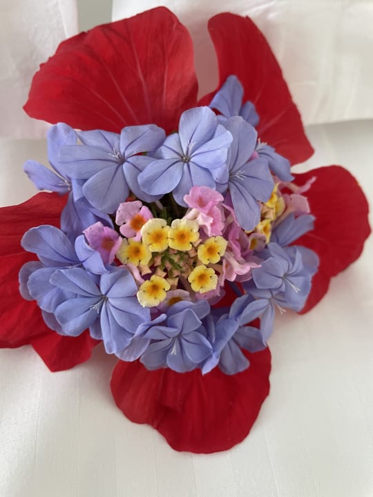 Zimmer Atrium Prestige Thalasso Spa Resort & Villas