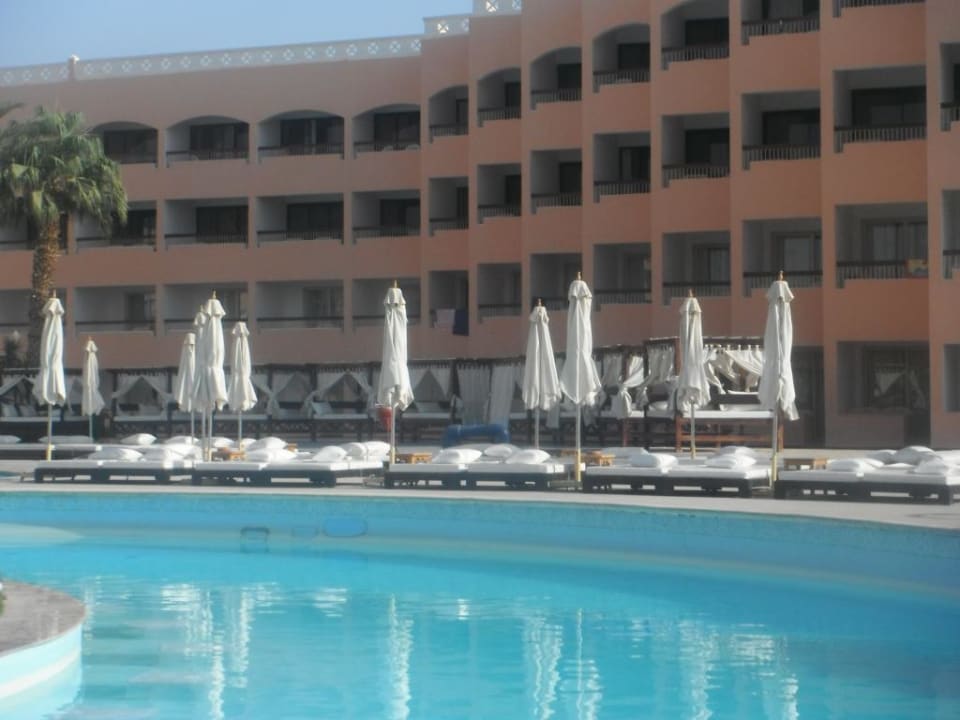 Liegen am Pool Beach Albatros Resort