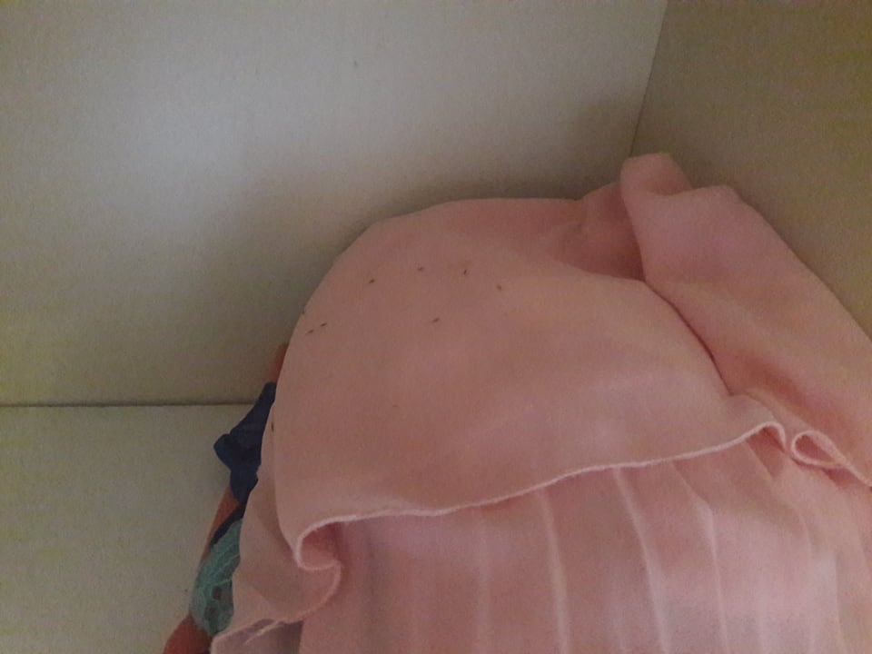 Zimmer Hotel Rosa Beach