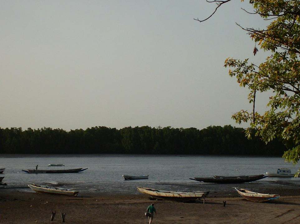 Ausblick Hotel Les Palétuviers