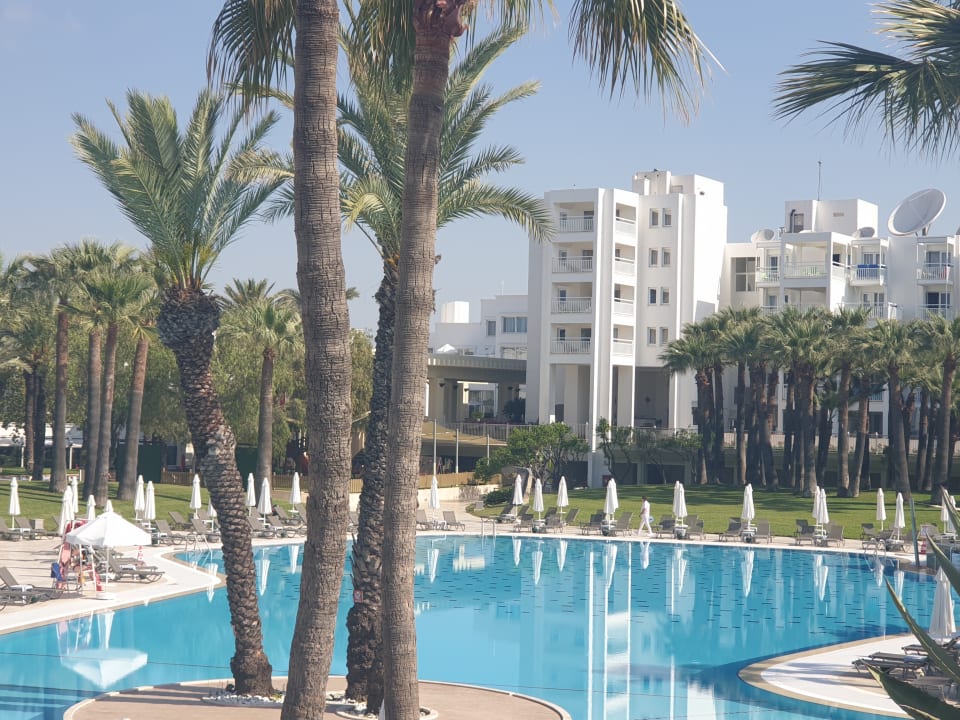 Pool Monachus Family Resort Sorgun