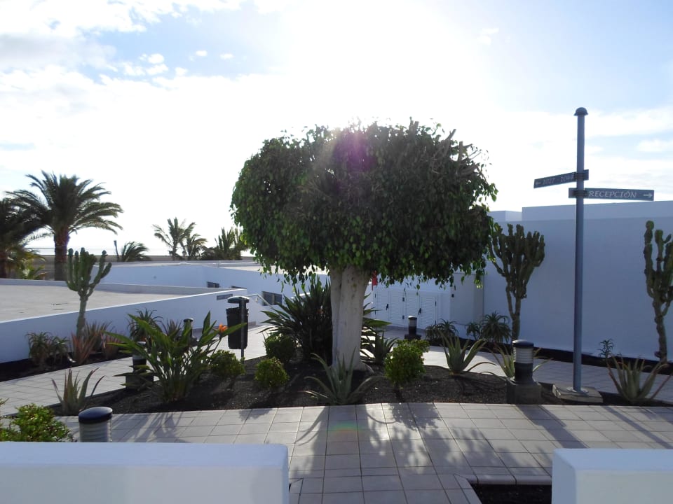 Gartenbereich Hotel Las Costas