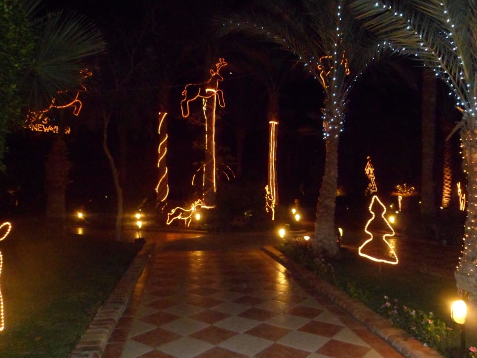 &quot;Palme mit Weihnachtsdeko&quot; Jaz Makadi Oasis Club (Makadi Bay