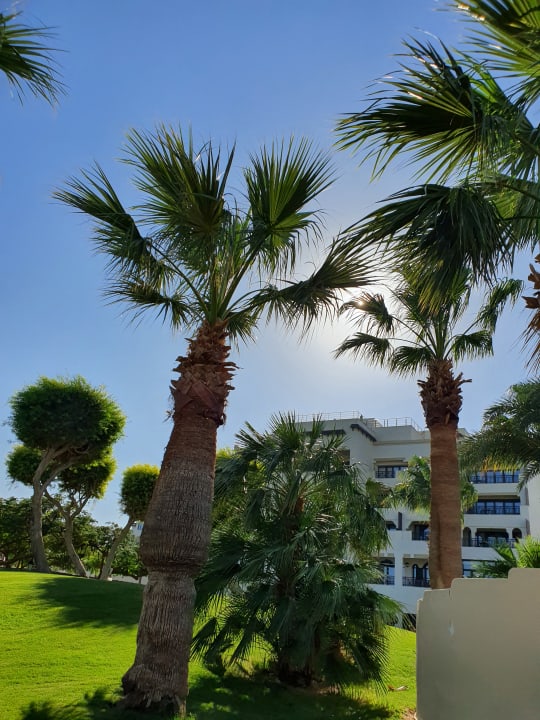 Ausblick Steigenberger ALDAU Beach Hotel