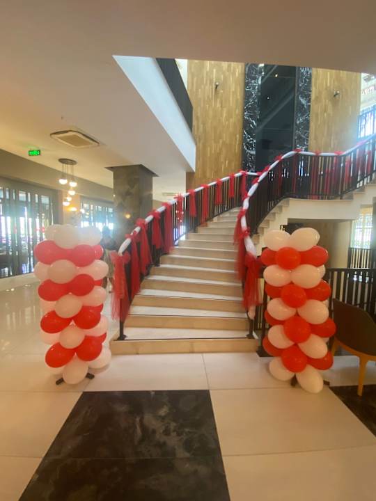 Gastro Seashell Vega