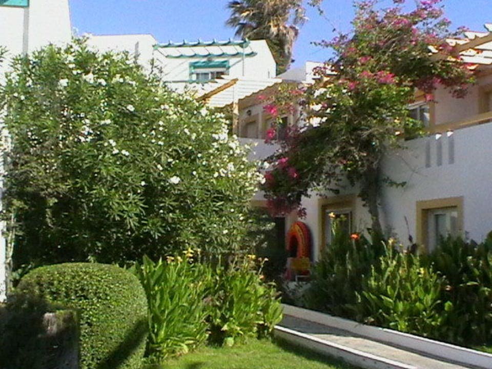 Sehr gepflegte Anlage Mastichari Bay Hotel