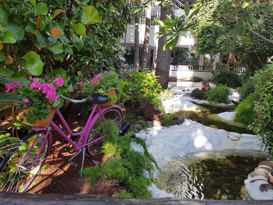 Gartenanlage Hotel Parque Tropical