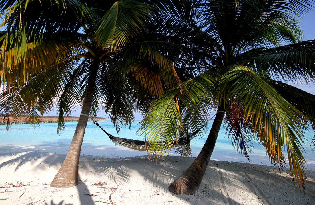 Relaxen Meeru Maldives Resort Island