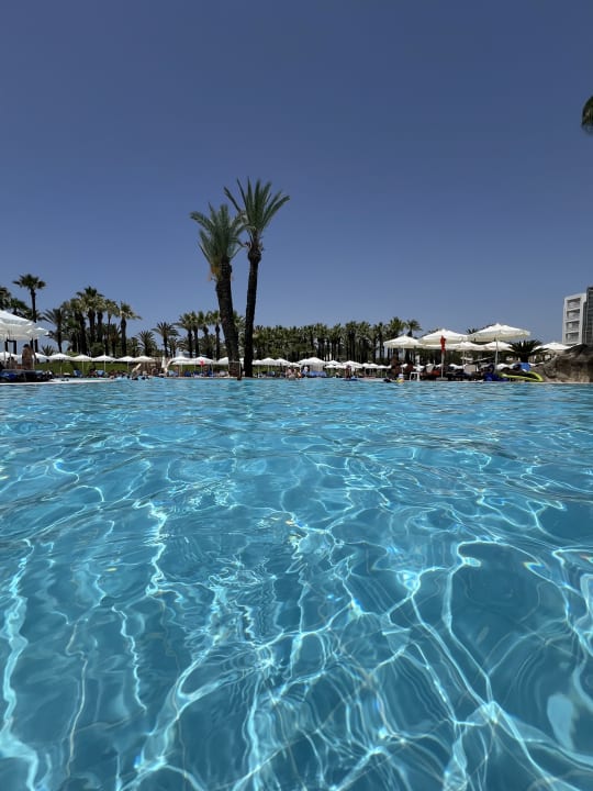 Pool Monachus Family Resort Sorgun
