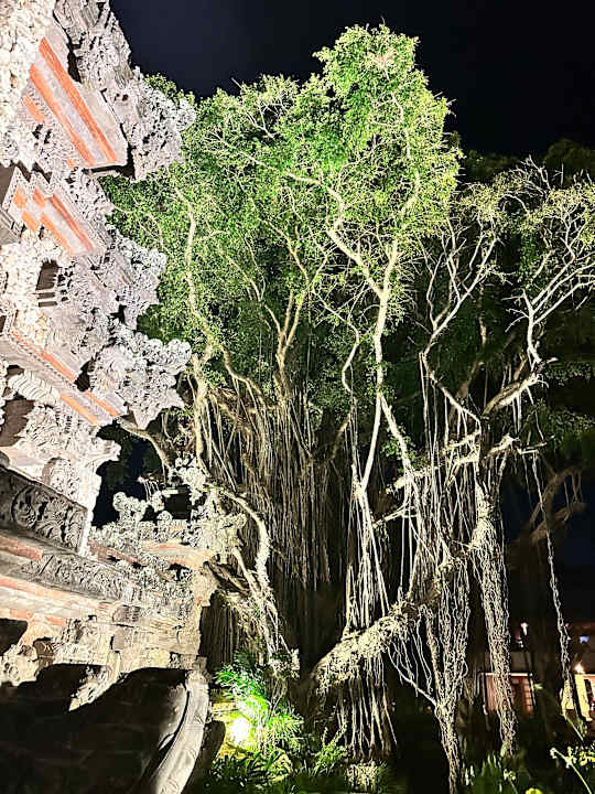 Gartenanlage Nusa Dua Beach Hotel & Spa