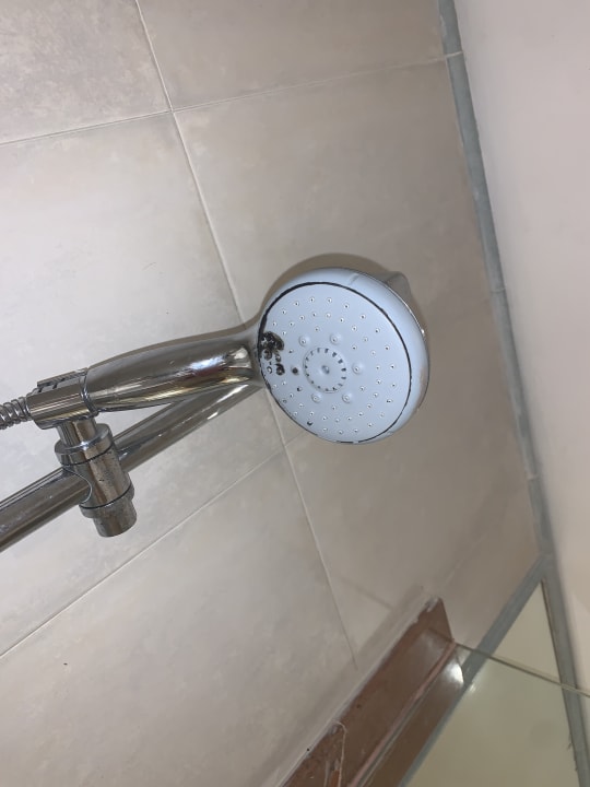 Zimmer Iberostar Selection Paraiso Lindo