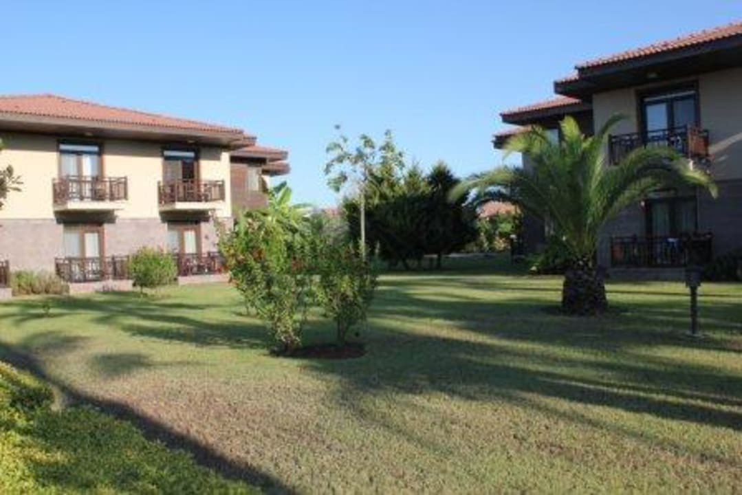 Gartenanlage TUI BLUE Palm Garden
