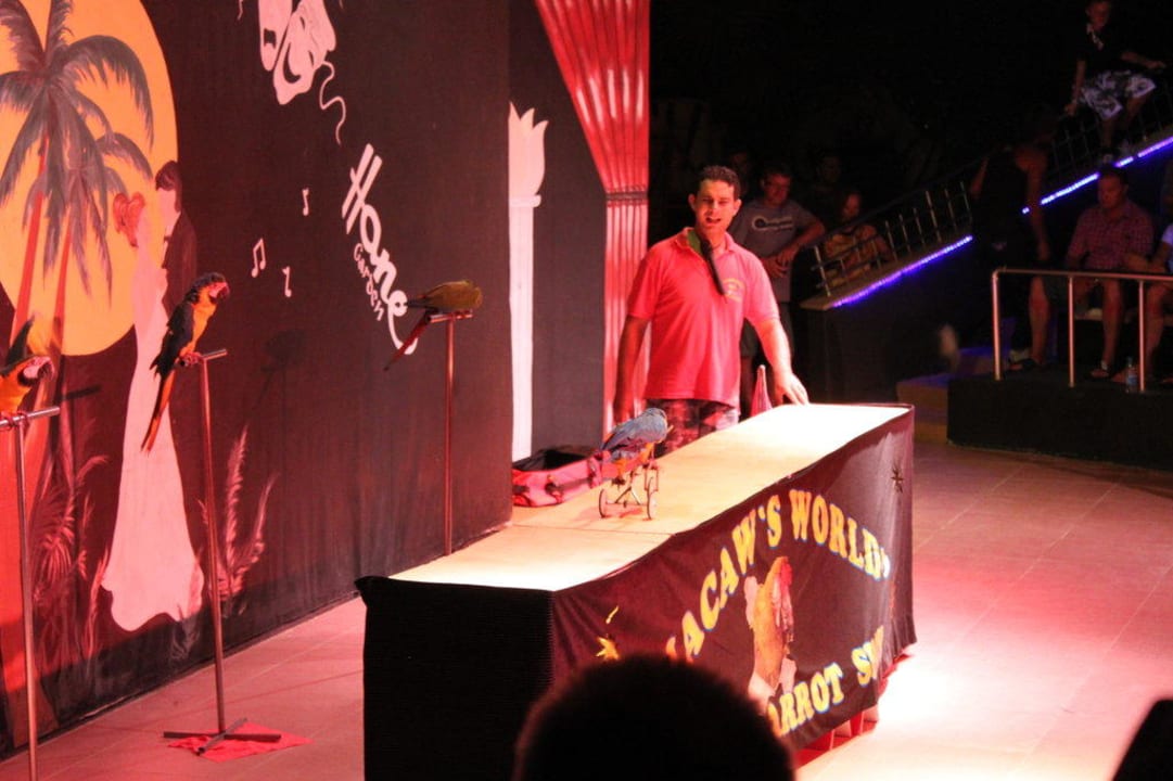 Papageienshow Teil 2 Calimera Hane Garden